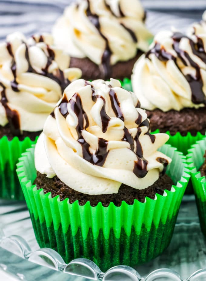 Chocolate cupcakes made with Guinness in green wrappers