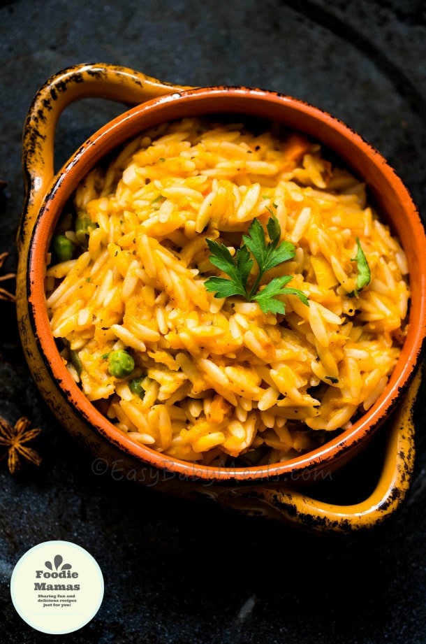Pumpkin with Orzo Pasta - Easy Baby Meals
