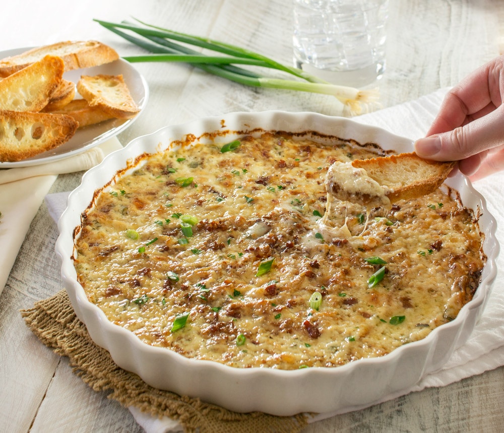 Caramelized Onion Dip (4) The Chunky Chef