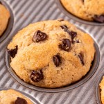 chocolate chip muffins in muffin pan