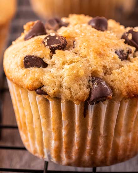 Get ready to toss those boxes of muffin mix, these homemade chocolate chip muffins are moist and tender, loaded with plenty of gooey chocolate, and so simple to make!  Directions for regular, jumbo and mini sized muffins! #muffins #chocolatechip #chocolate #kidfriendly #breakfast #brunch #baking #homemade #scratch #easyrecipe