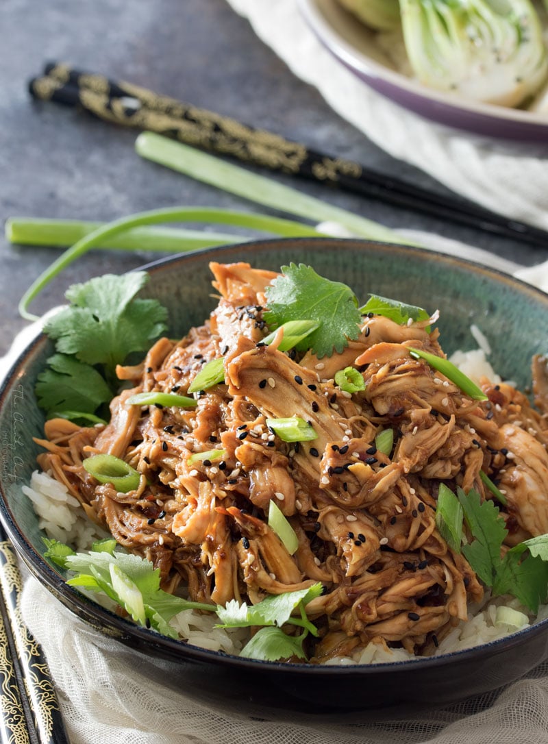 Slow Cooker Honey Garlic Chicken - The Chunky Chef