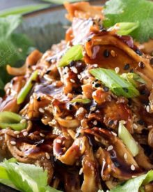 Slow Cooker Honey Garlic Chicken | Tender, moist, honey garlic chicken made easy in the slow cooker, and coated in the most glorious homemade honey garlic and orange sauce! | http://thechunkychef.com