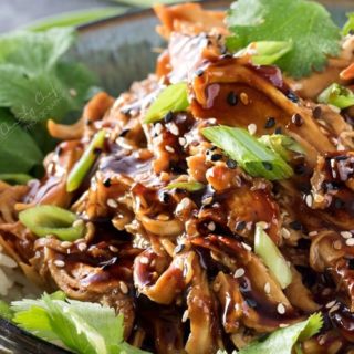 Slow Cooker Honey Garlic Chicken | Tender, moist, honey garlic chicken made easy in the slow cooker, and coated in the most glorious homemade honey garlic and orange sauce! | http://thechunkychef.com