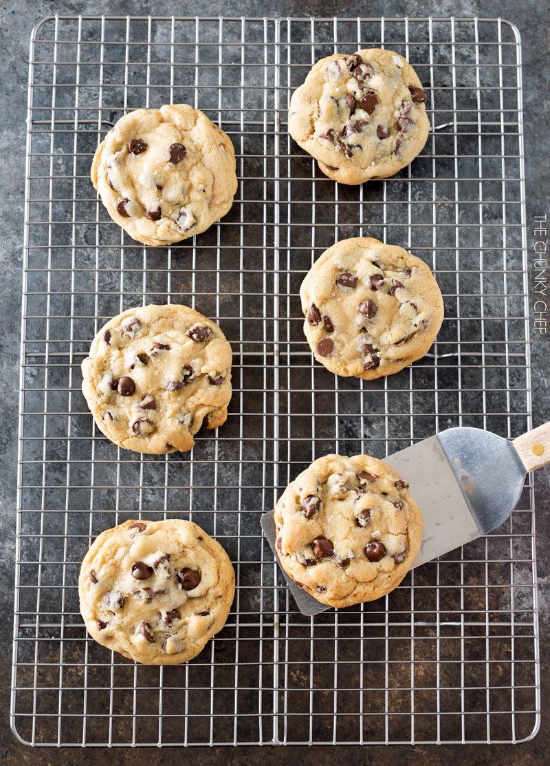 Salted Chocolate Chip Cookies | Thick, chewy chocolate chip cookies that are perfectly crisp on the edges and soft in the middle. The sea salt just accentuates the rich chocolate flavor! | http://thechunkychef.com