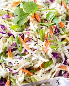 Tequila Lime Coleslaw with Cilantro | This unique coleslaw recipe combines great Mexican flavors like tequila, lime and cilantro, for a truly crowd-pleasing side dish! | http://thechunkychef.com