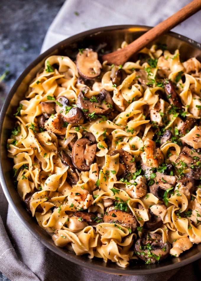 Spoonful of chicken stroganoff over egg noodles