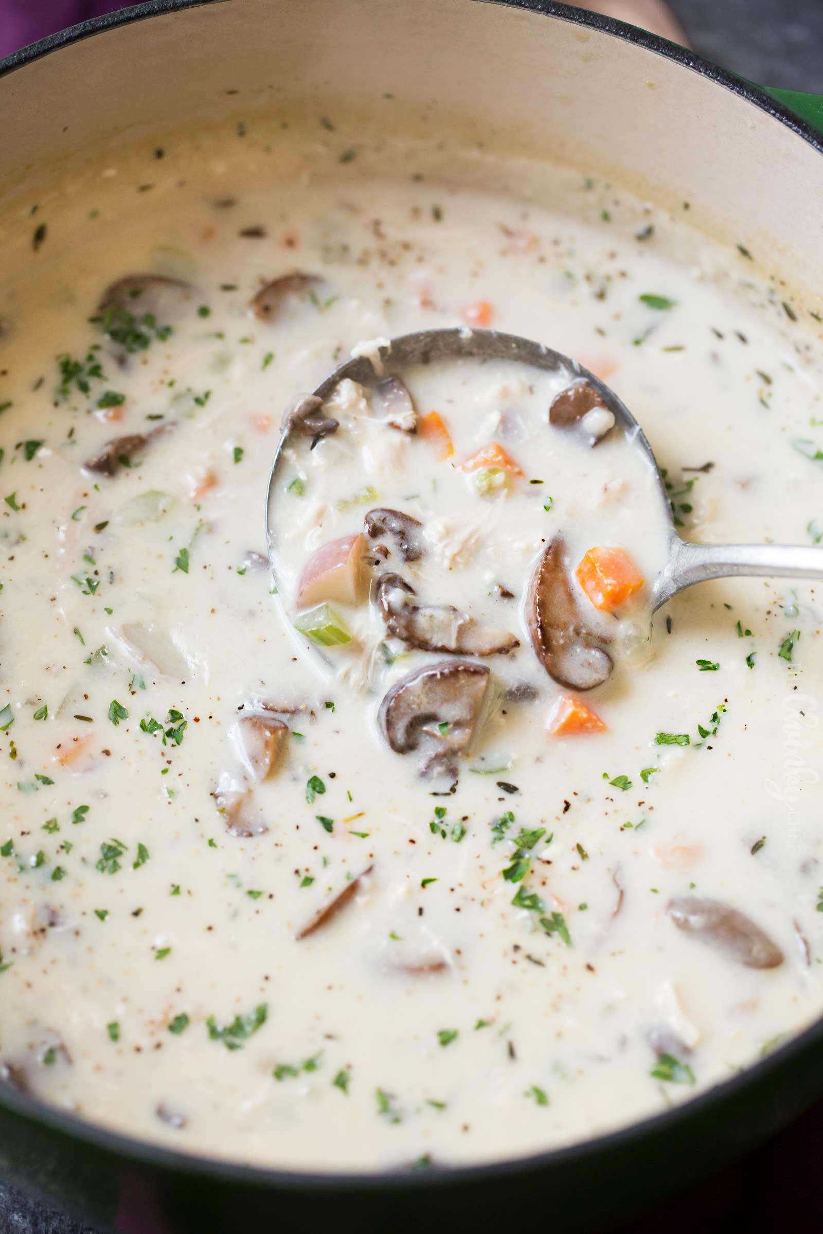 Ladle of chicken chowder in soup pot