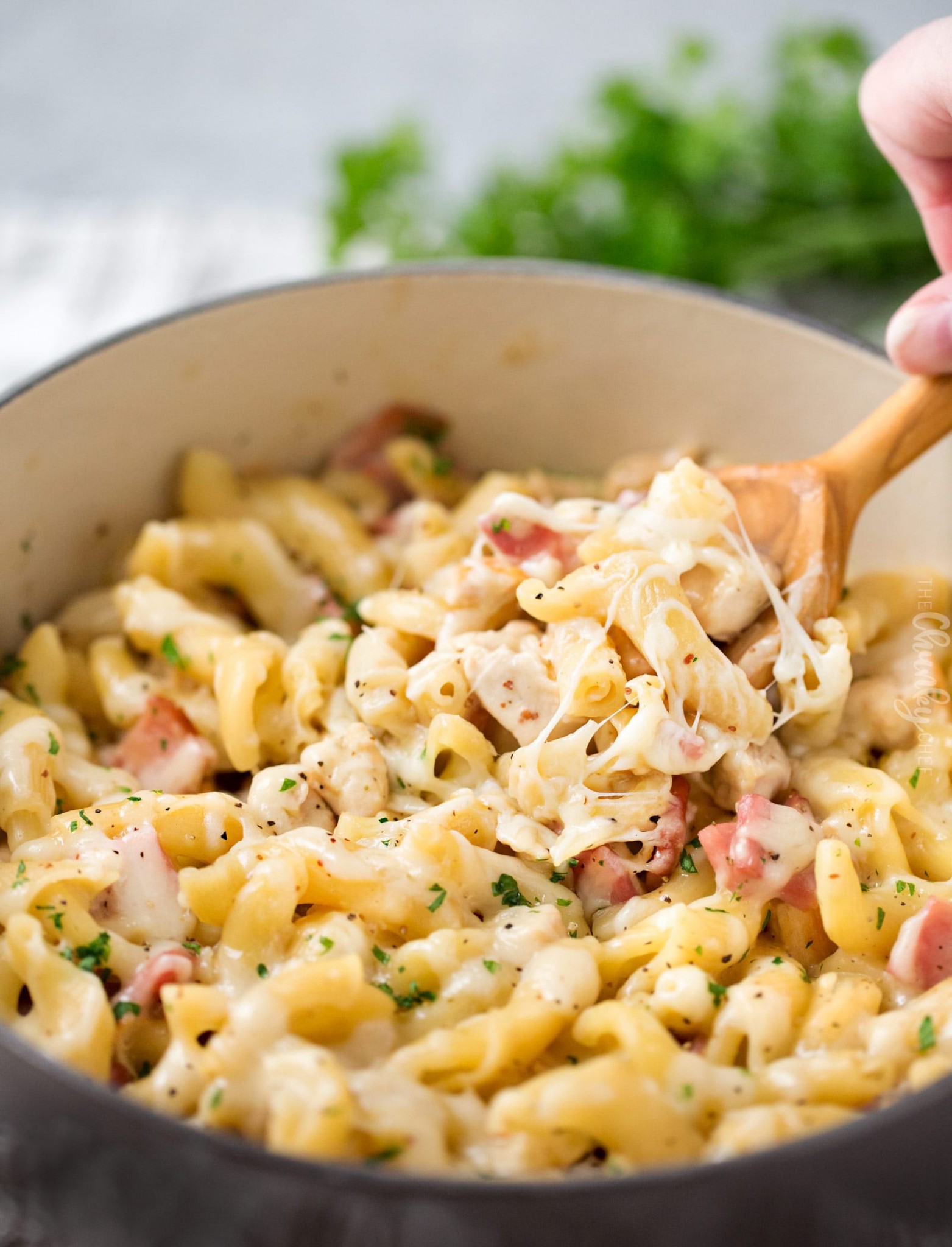 One Pot Creamy Chicken Cordon Bleu Pasta The Chunky Chef