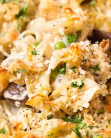 One Pot Chicken Tetrazzini | Perfect for an easy dinner, this chicken tetrazzini recipe is a comforting, incredibly creamy pasta bake with chicken, mushrooms! This is one chicken casserole you'll be happy to eat, any time of year. Great for make-ahead meals too! | The Chunky Chef | #chickentetrazzini #pastabake #casserole #chickenrecipes #italianrecipes
