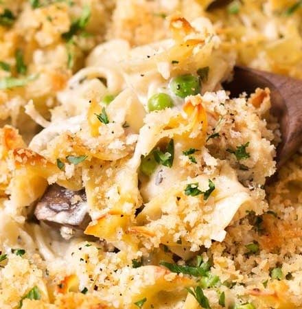 One Pot Chicken Tetrazzini | Perfect for an easy dinner, this chicken tetrazzini recipe is a comforting, incredibly creamy pasta bake with chicken, mushrooms!  This is one chicken casserole you'll be happy to eat, any time of year.  Great for make-ahead meals too! | The Chunky Chef | #chickentetrazzini #pastabake #casserole #chickenrecipes #italianrecipes