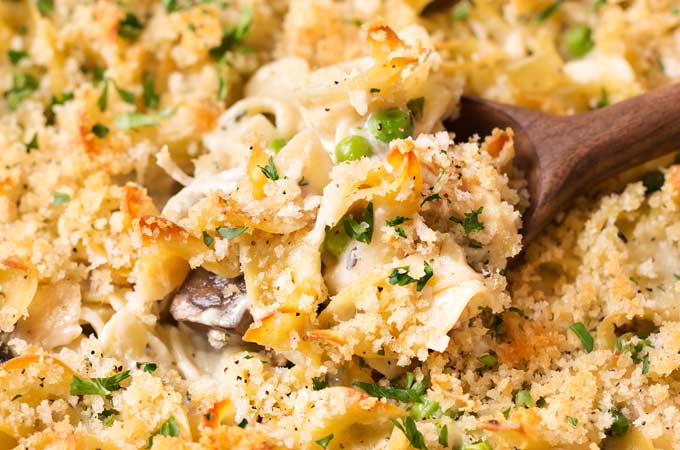 One Pot Chicken Tetrazzini | Perfect for an easy dinner, this chicken tetrazzini recipe is a comforting, incredibly creamy pasta bake with chicken, mushrooms!  This is one chicken casserole you'll be happy to eat, any time of year.  Great for make-ahead meals too! | The Chunky Chef | #chickentetrazzini #pastabake #casserole #chickenrecipes #italianrecipes