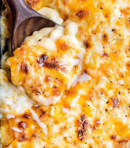 Best ever macaroni cheese recipe