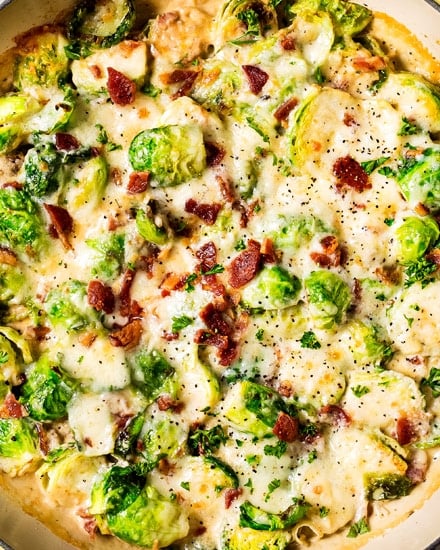 Crisp tender brussels sprouts baked in a rich and creamy cheese sauce, and topped with crispy bacon. This is the perfect holiday side dish recipe! #brusselssprouts #brussels #sidedish #easyrecipe #baked #gratin #cheesy #bacon #holiday #lowcarb #keto