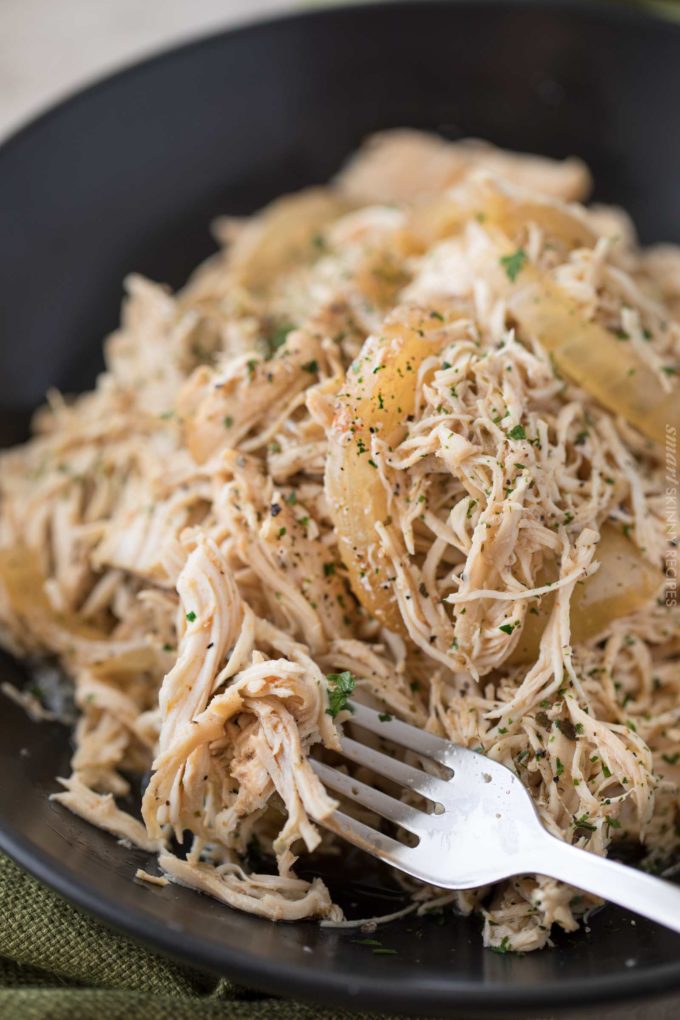 Forkful of crockpot shredded chicken