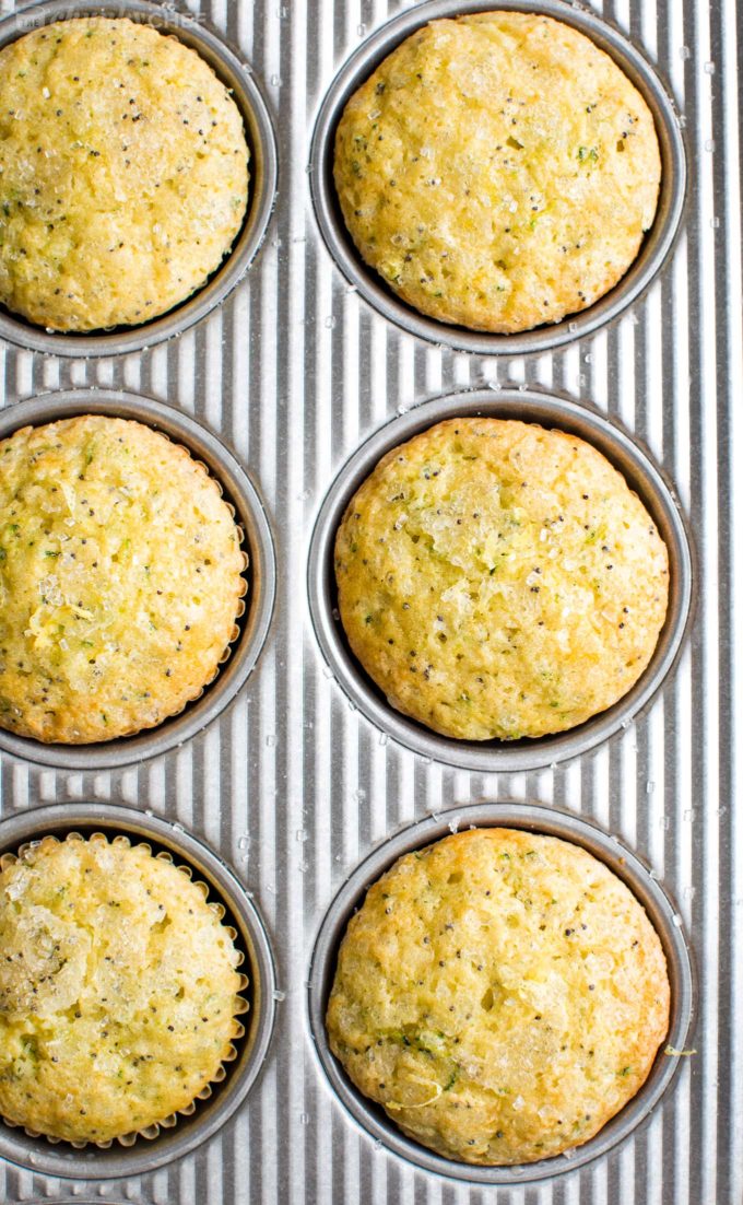 Lemon poppy seed muffins in baking pan