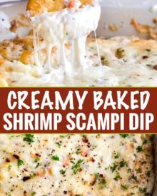 Creamy, cheesy and garlicky, this baked shrimp dip tastes like a dip-able version of shrimp scampi! #shrimp #dip #scampi #appetizer #partyfood #gameday #cheesy #easyrecipe #partyrecipe