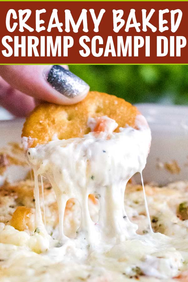 Creamy, cheesy and garlicky, this baked shrimp dip tastes like a dip-able version of shrimp scampi! #shrimp #dip #scampi #appetizer #partyfood #gameday #cheesy #easyrecipe #partyrecipe