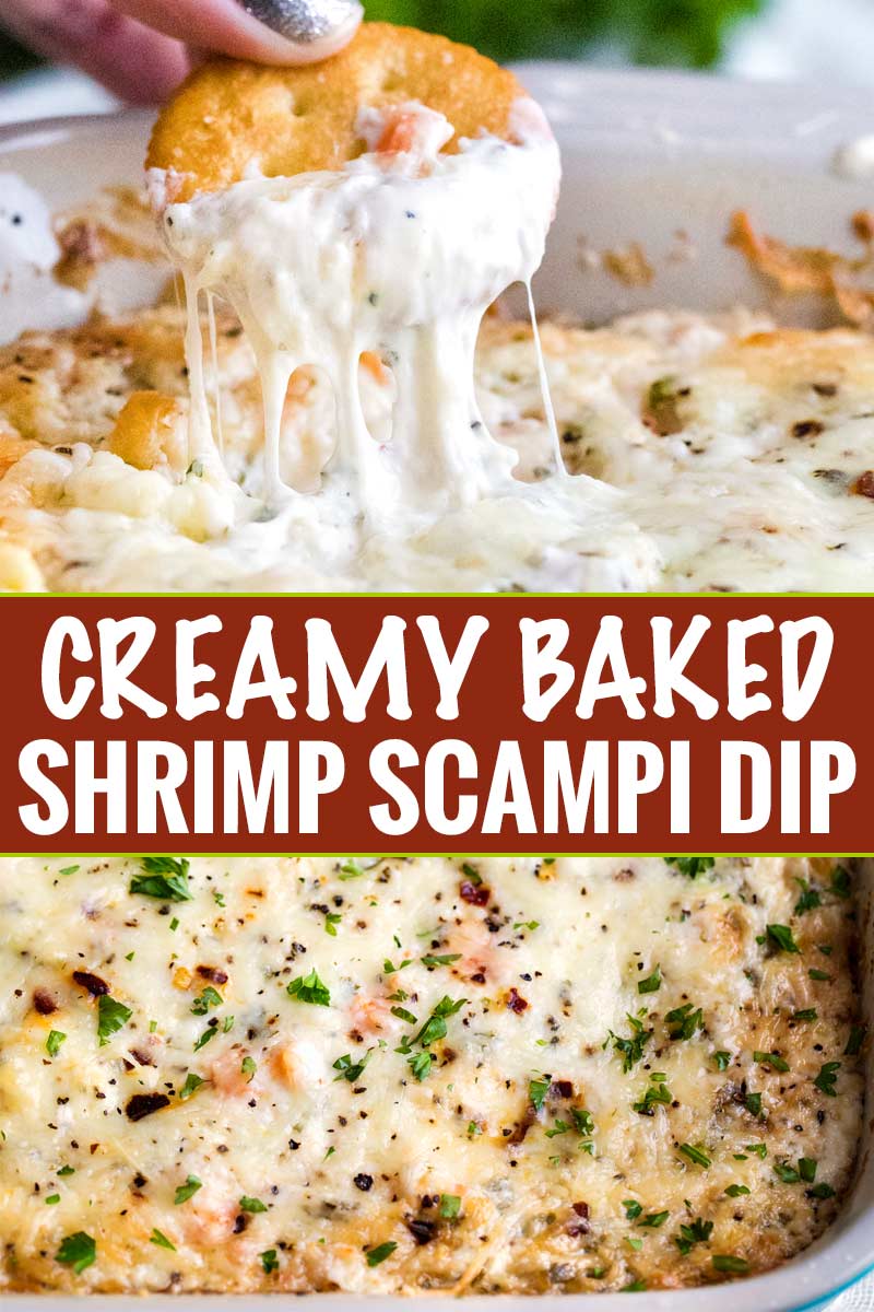 Creamy, cheesy and garlicky, this baked shrimp dip tastes like a dip-able version of shrimp scampi! #shrimp #dip #scampi #appetizer #partyfood #gameday #cheesy #easyrecipe #partyrecipe