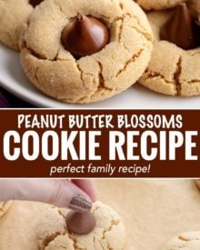 These classic and iconic Peanut Butter Blossoms Cookies are soft and chewy, with a crackly sugary crust and studded with a solid milk chocolate kiss.  Perfect for any holiday, bake sale or cookie exchange! #cookierecipe #cookie #Christmas #baking #peanutbutter #peanutbutterandchocolate #xmas #holidaybaking #holiday