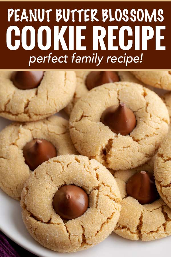 These classic and iconic Peanut Butter Blossoms Cookies are soft and chewy, with a crackly sugary crust and studded with a solid milk chocolate kiss.  Perfect for any holiday, bake sale or cookie exchange! #cookierecipe #cookie #Christmas #baking #peanutbutter #peanutbutterandchocolate #xmas #holidaybaking #holiday