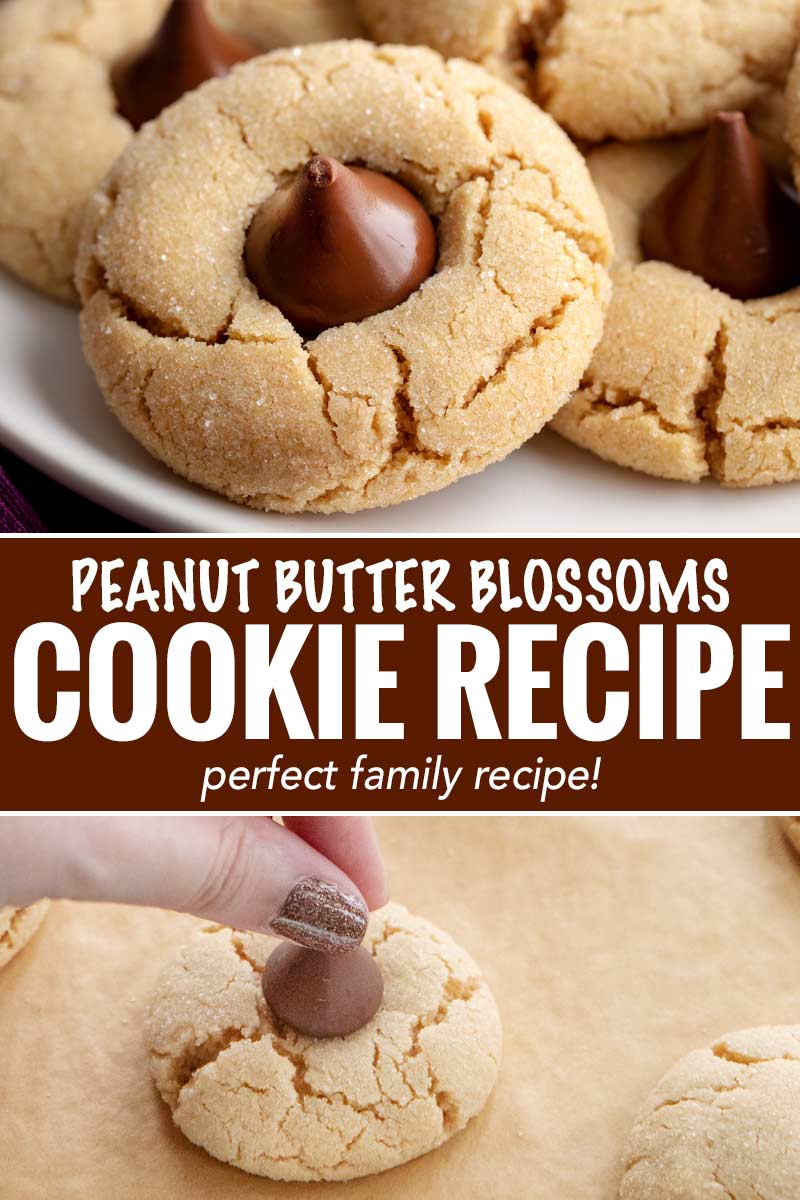 These classic and iconic Peanut Butter Blossoms Cookies are soft and chewy, with a crackly sugary crust and studded with a solid milk chocolate kiss.  Perfect for any holiday, bake sale or cookie exchange! #cookierecipe #cookie #Christmas #baking #peanutbutter #peanutbutterandchocolate #xmas #holidaybaking #holiday