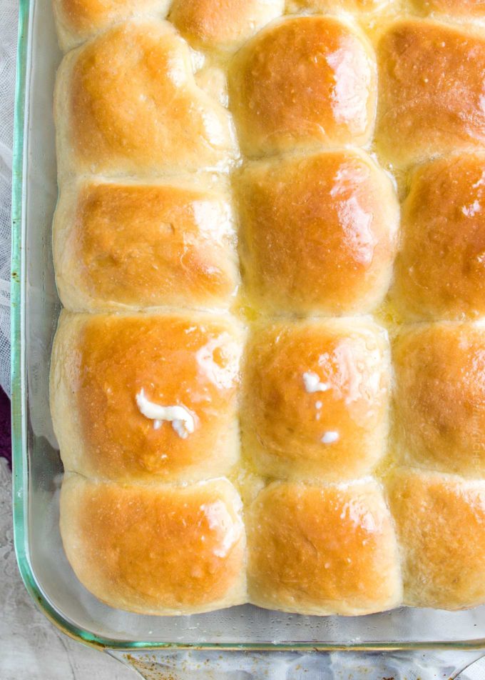 Dinner rolls in baking pan