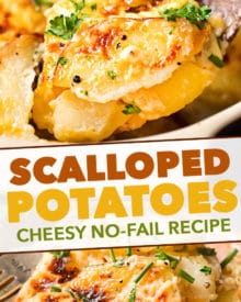 Velvety soft and tender layers of two kinds of potatoes, smothered in a rich 3 cheese garlic sauce, then topped with extra cheese for a perfectly crispy top! Perfect scalloped potatoes for Easter or Thanksgiving! #scallopedpotatoes #potatoes #sidedish #holiday #Easter #cheese #potatoesaugratin #augratin #makeahead #Thanksgiving