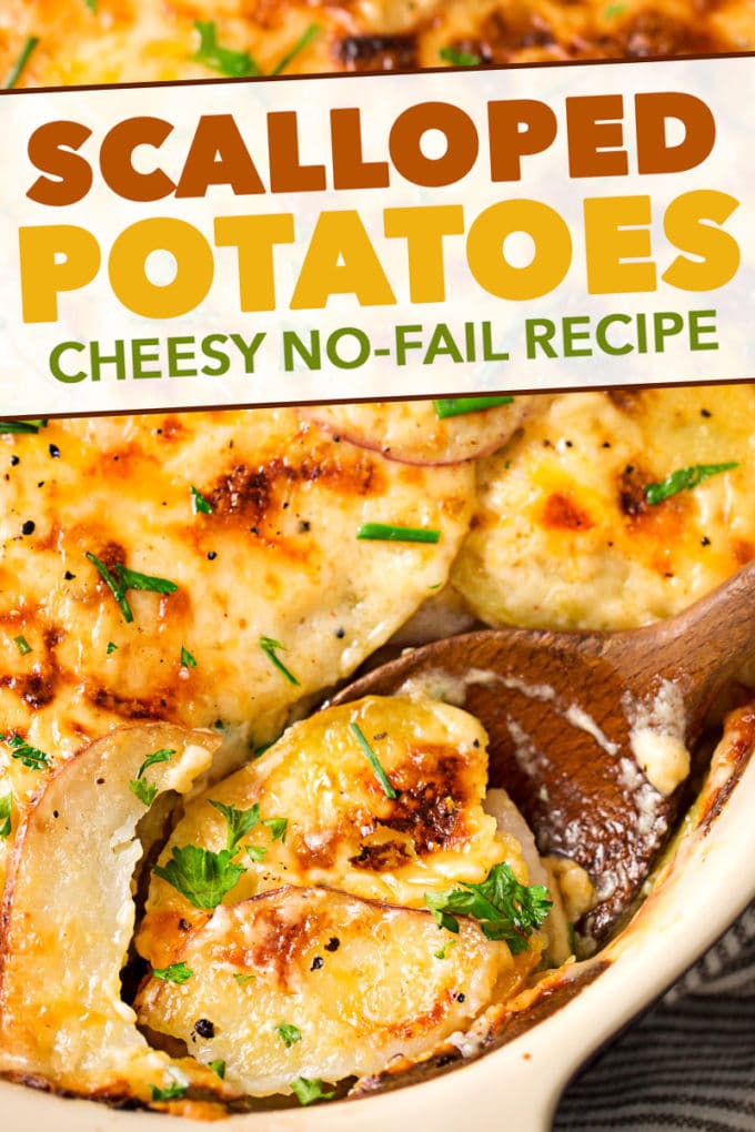 Velvety soft and tender layers of two kinds of potatoes, smothered in a rich 3 cheese garlic sauce, then topped with extra cheese for a perfectly crispy top! Perfect scalloped potatoes for Easter or Thanksgiving! #scallopedpotatoes #potatoes #sidedish #holiday #Easter #cheese #potatoesaugratin #augratin #makeahead #Thanksgiving