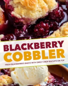 This easy summer Blackberry Cobbler is made with fresh berries and a sweet biscuit-like topping! Top with ice cream and enjoy! #cobbler #dessert #easyrecipe #blackberry #summerrecipe #berries #homemade #baking #berry