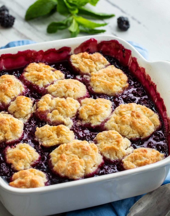 Blackberry cobbler in white baking dish