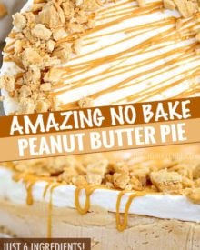 A true peanut butter lovers' dream, this easy no bake peanut butter pie is made with just 6 ingredients!  The nutter butter crust is unbelievable! #nobake #dessert #peanutbutter #nutterbutter #pie #easyrecipe #easydessert