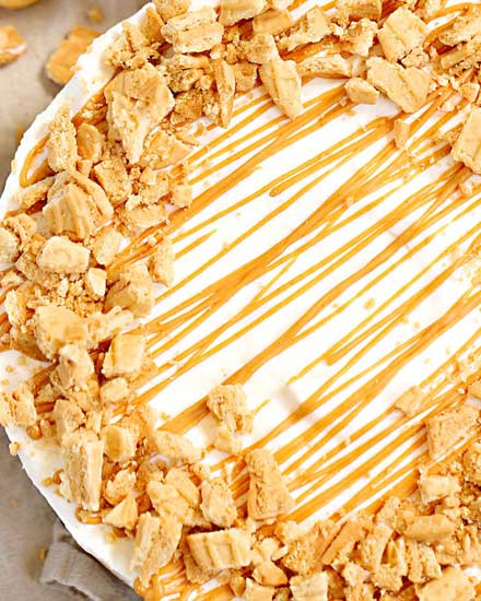 A true peanut butter lovers' dream, this easy no bake peanut butter pie is made with just 6 ingredients!  The nutter butter crust is unbelievable! #nobake #dessert #peanutbutter #nutterbutter #pie #easyrecipe #easydessert