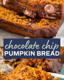 Chocolate Chip Pumpkin Bread | Perfectly spiced and moist, this chocolate chip pumpkin bread is the most amazing pumpkin bread you'll ever have! | https://www.thechunkychef.com | #pumpkinbread #pumpkin #chocolate #bread #Fall #dessert