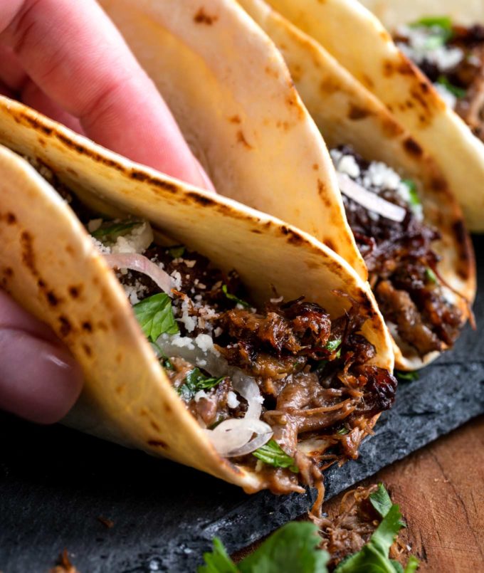 Beef barbacoa in tacos