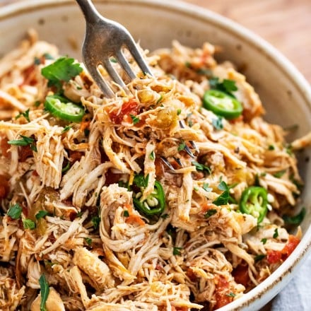 Forkful of salsa chicken in white bowl