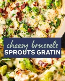 Crisp tender brussels sprouts baked in a rich and creamy cheese sauce, and topped with crispy bacon. This is the perfect holiday side dish recipe! #brusselssprouts #brussels #sidedish #easyrecipe #thanksgiving #baked #gratin #cheesy #bacon #holiday #lowcarb #keto