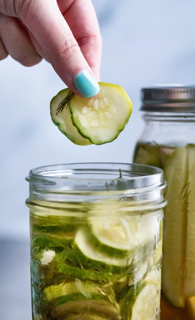 Holding homemade pickle chips