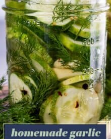Homemade refrigerator pickles require zero canning expertise or equipment! Crisp, zesty, and packed with a punch of amazing flavor - you have to try them!