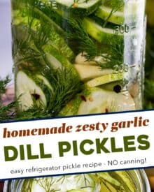 Homemade refrigerator pickles require zero canning expertise or equipment! Crisp, zesty, and packed with a punch of amazing flavor - you have to try them!