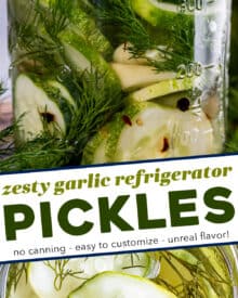 Homemade refrigerator pickles require zero canning expertise or equipment! Crisp, zesty, and packed with a punch of amazing flavor - you have to try them!