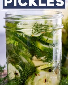 Homemade refrigerator pickles require zero canning expertise or equipment! Crisp, zesty, and packed with a punch of amazing flavor - you have to try them!
