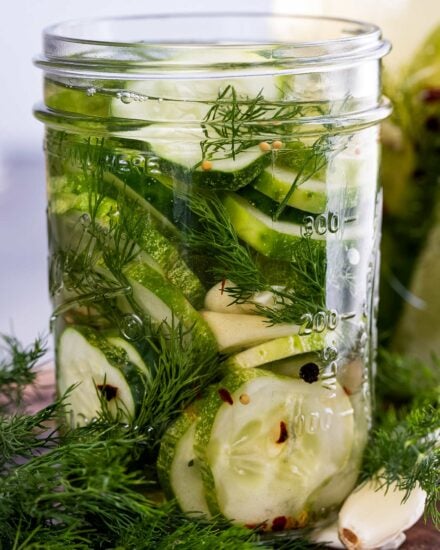 Homemade refrigerator pickles require zero canning expertise or equipment! Crisp, zesty, and packed with a punch of amazing flavor - you have to try them!