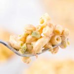 spoonful of macaroni salad