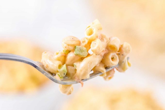 spoonful of macaroni salad