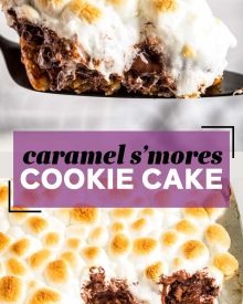 pin image for s'mores cookie cake