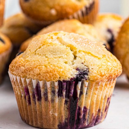 closeup photo of blueberry muffin