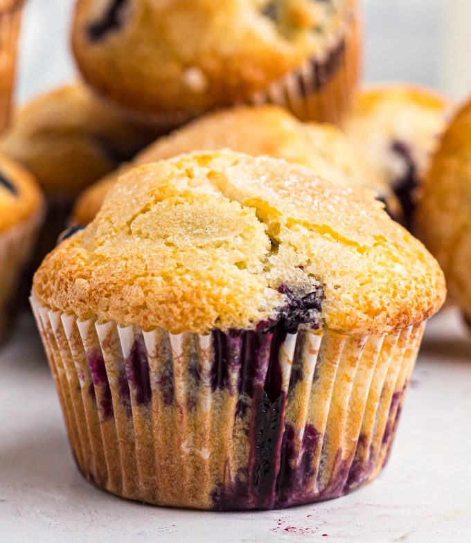 closeup photo of blueberry muffin