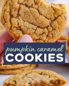 These chewy pumpkin cookies are studded with bits of toffee and caramel, and baked until soft and tender.  The perfect Fall dessert, these cookies go great with a cold glass of milk! #cookies #pumpkin #baking #caramel #toffee #dessert