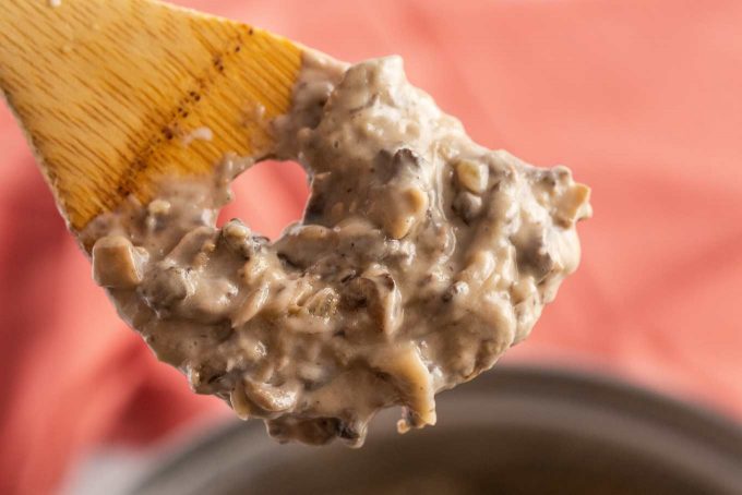 condensed mushroom soup on wooden spoon